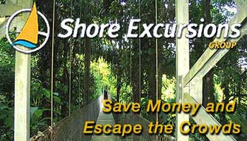 Taking A Cruise, Check out these Shore Excursions